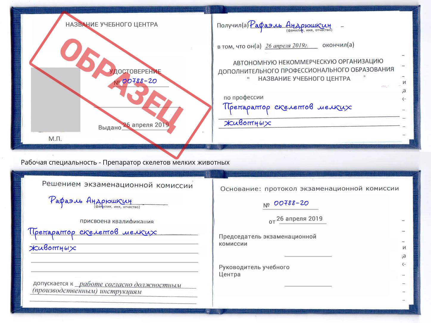 Препаратор скелетов мелких животных Кузнецк