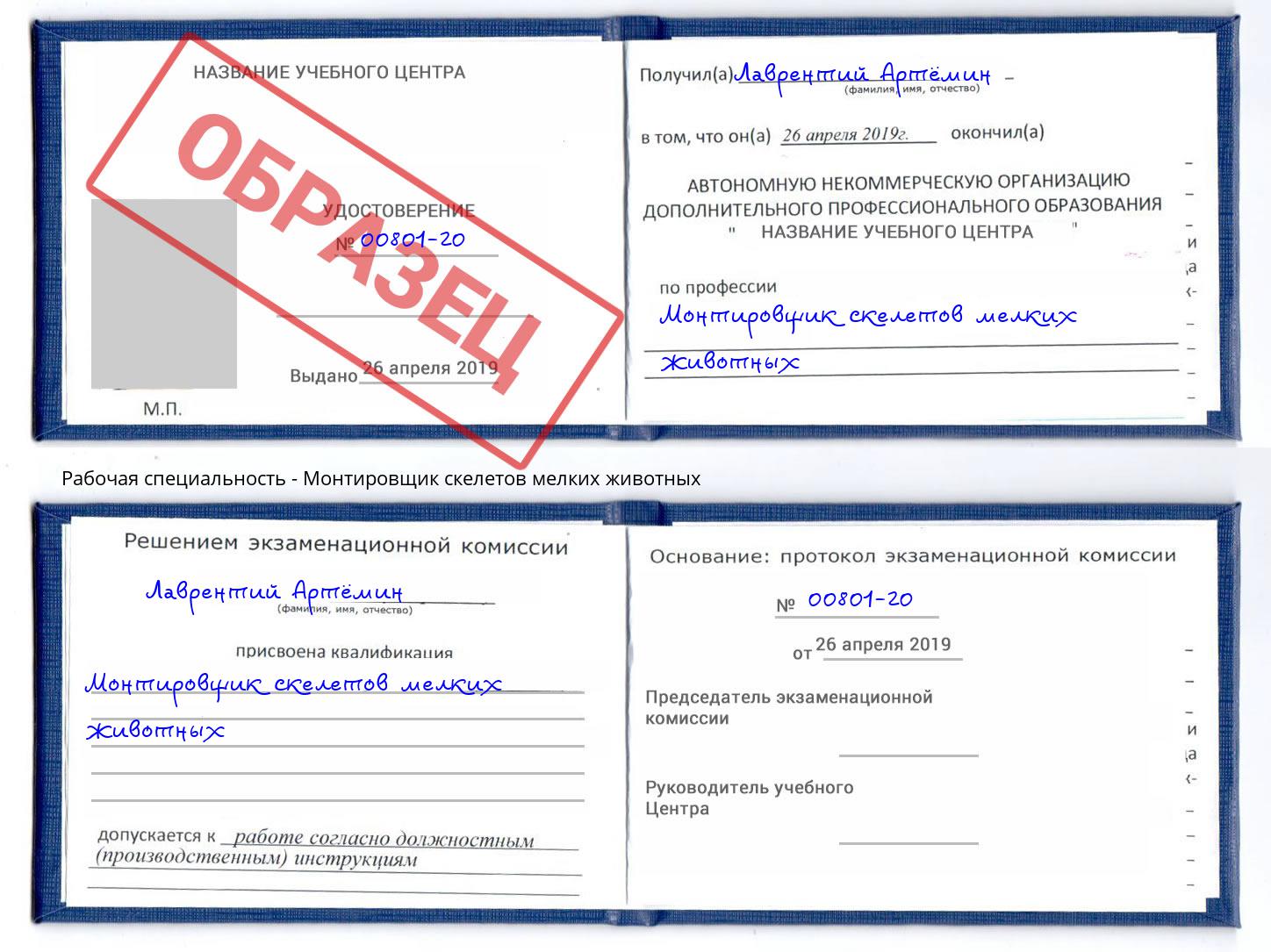 Монтировщик скелетов мелких животных Кузнецк