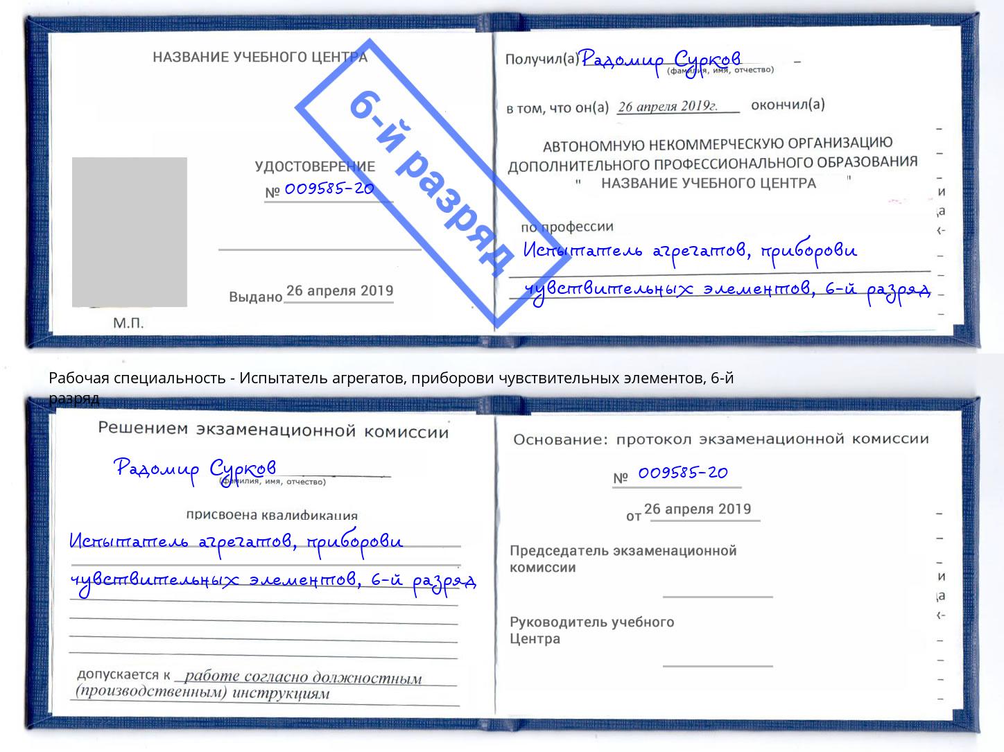 корочка 6-й разряд Испытатель агрегатов, приборови чувствительных элементов Кузнецк