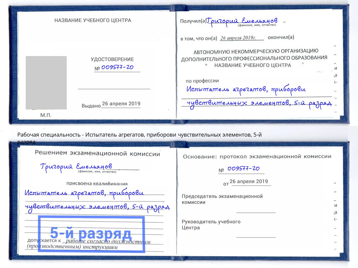 корочка 5-й разряд Испытатель агрегатов, приборови чувствительных элементов Кузнецк
